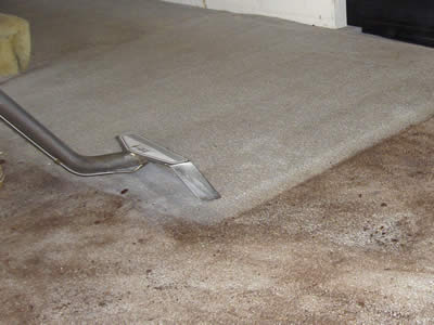 Furniture Steam Cleaner on Cleaner  Grout Cleaner  Steam Cleaner  Rug Cleaner  Furniture Cleaner